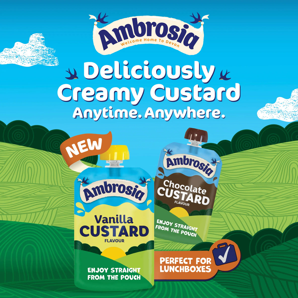 Chocolate Custard Dessert Snack by Ambrosia at The British Vault