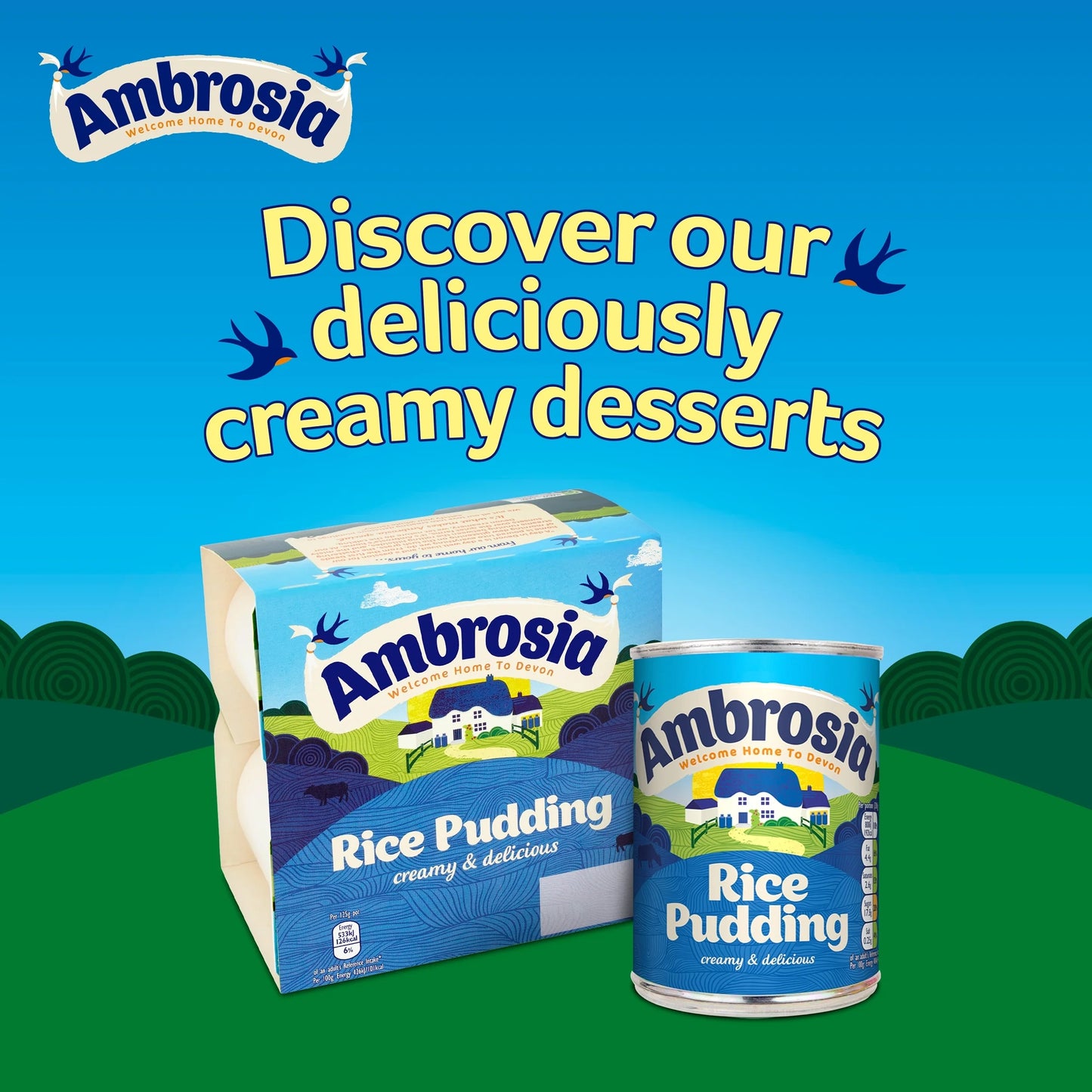 Rice Pudding 400g by Ambrosia