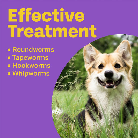 Clear 3 In 1 Wormer Dog 2 Tablets by BOB MARTIN