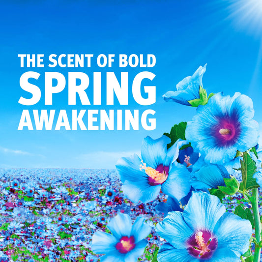 Washing Powder Spring Awakening 72w 3600g by Bold