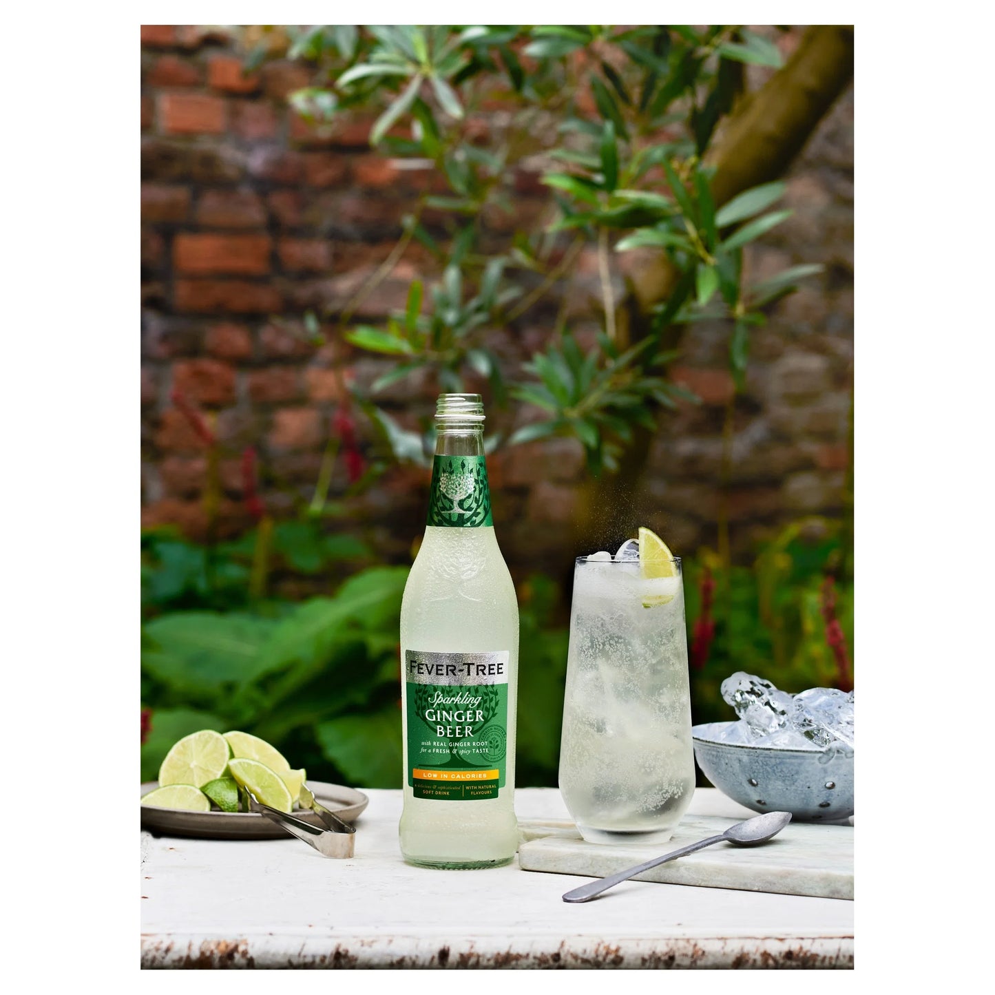 Fever-tree Light Ginger Beer Bottle 500ml by FEVER TREE