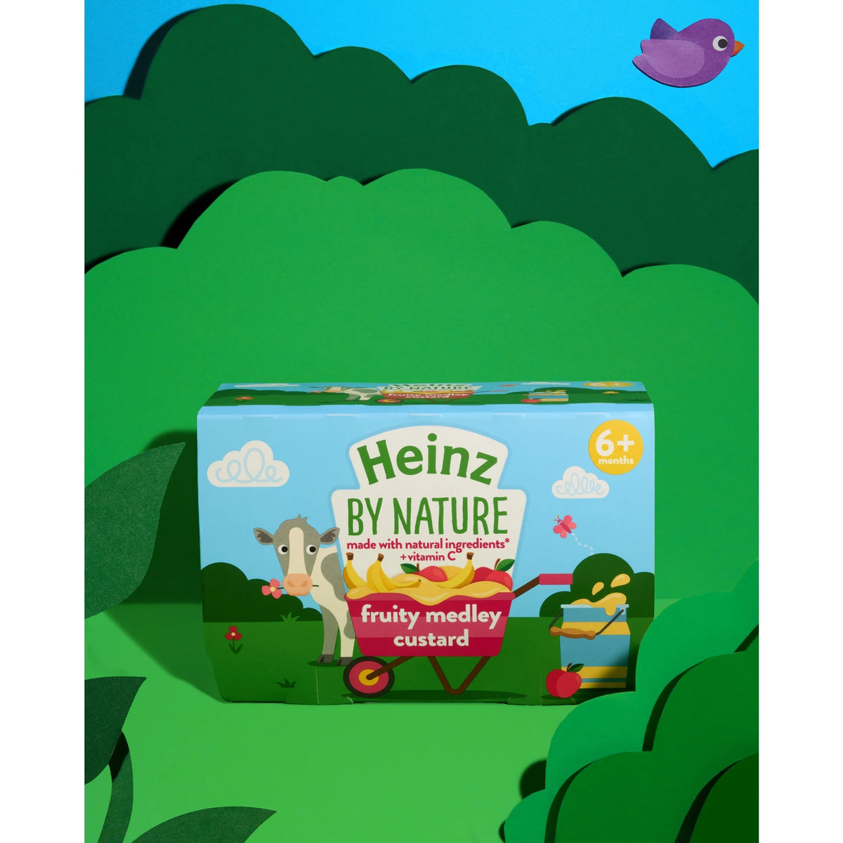 Fruity Medley Custard Baby Food Dessert Pots 4 X 100g by HEINZ