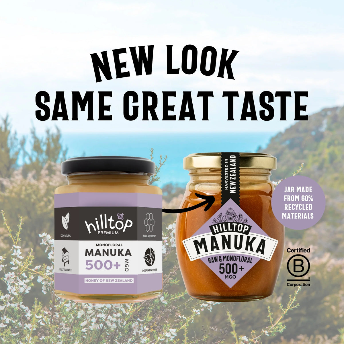 Premium Manuka Honey 500+ Mgo 225g by HILLTOP