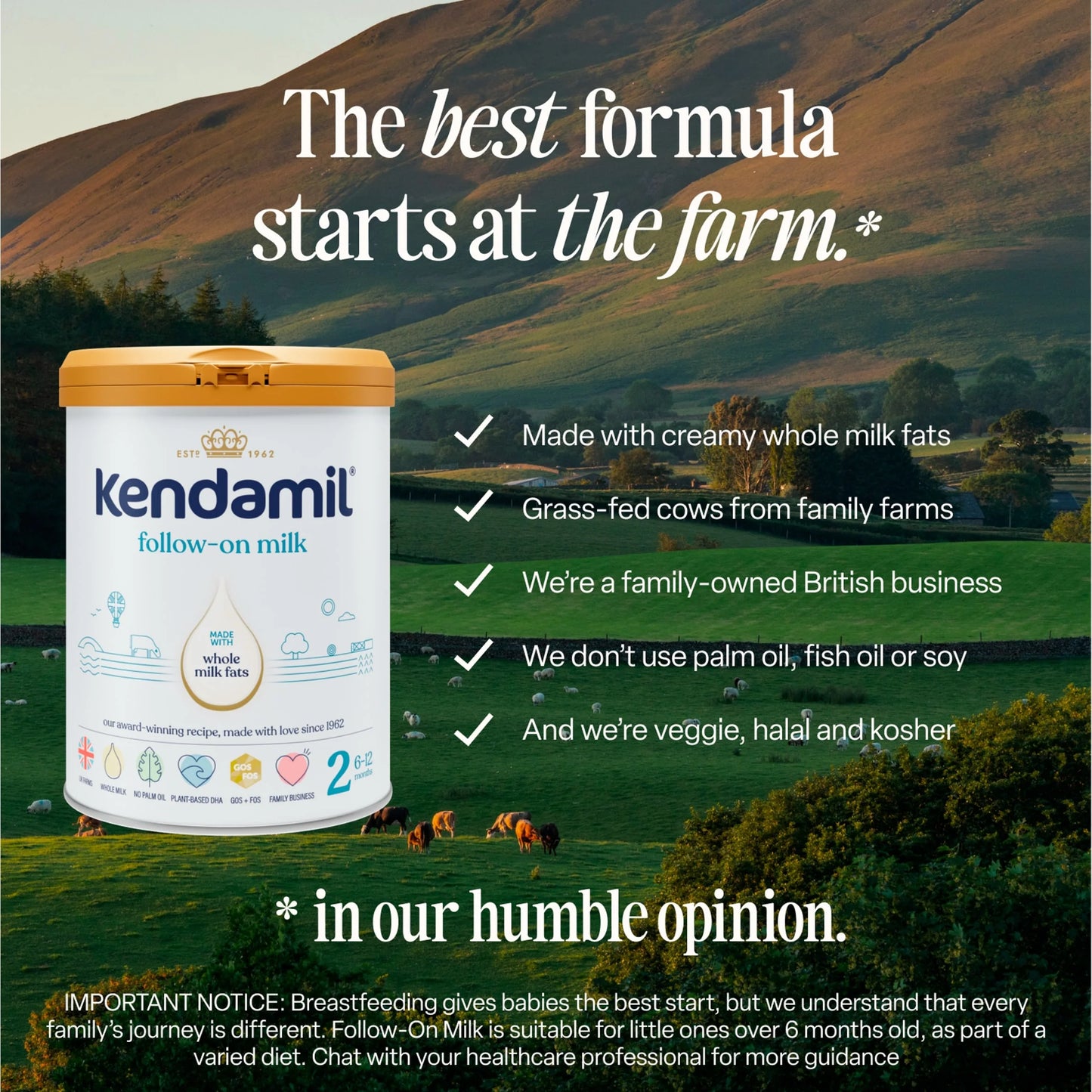 Follow On Milk 2 From 6 To 12 Months by KENDAMIL