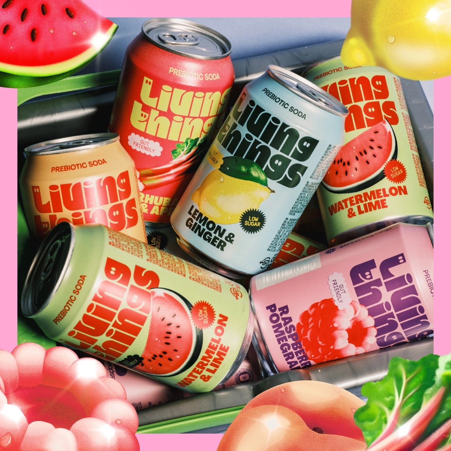 Raspberry & Pomegranate Soda 4x by Living things