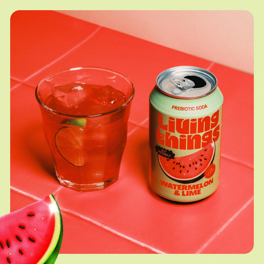 Watermelon & Lime Soda 4x 330ml by Living things