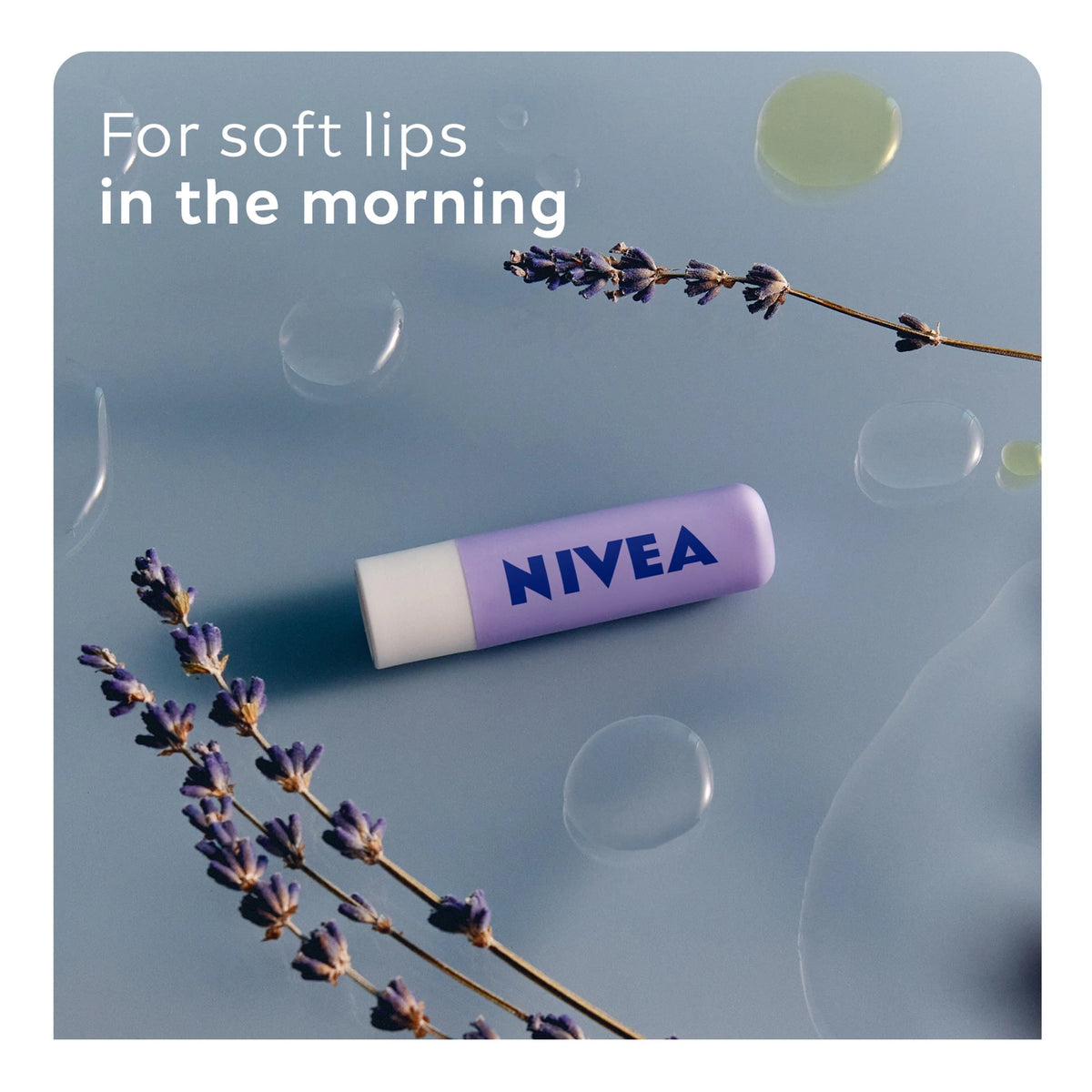 Over Night Care Lip Balm 4.8g by NIVEA