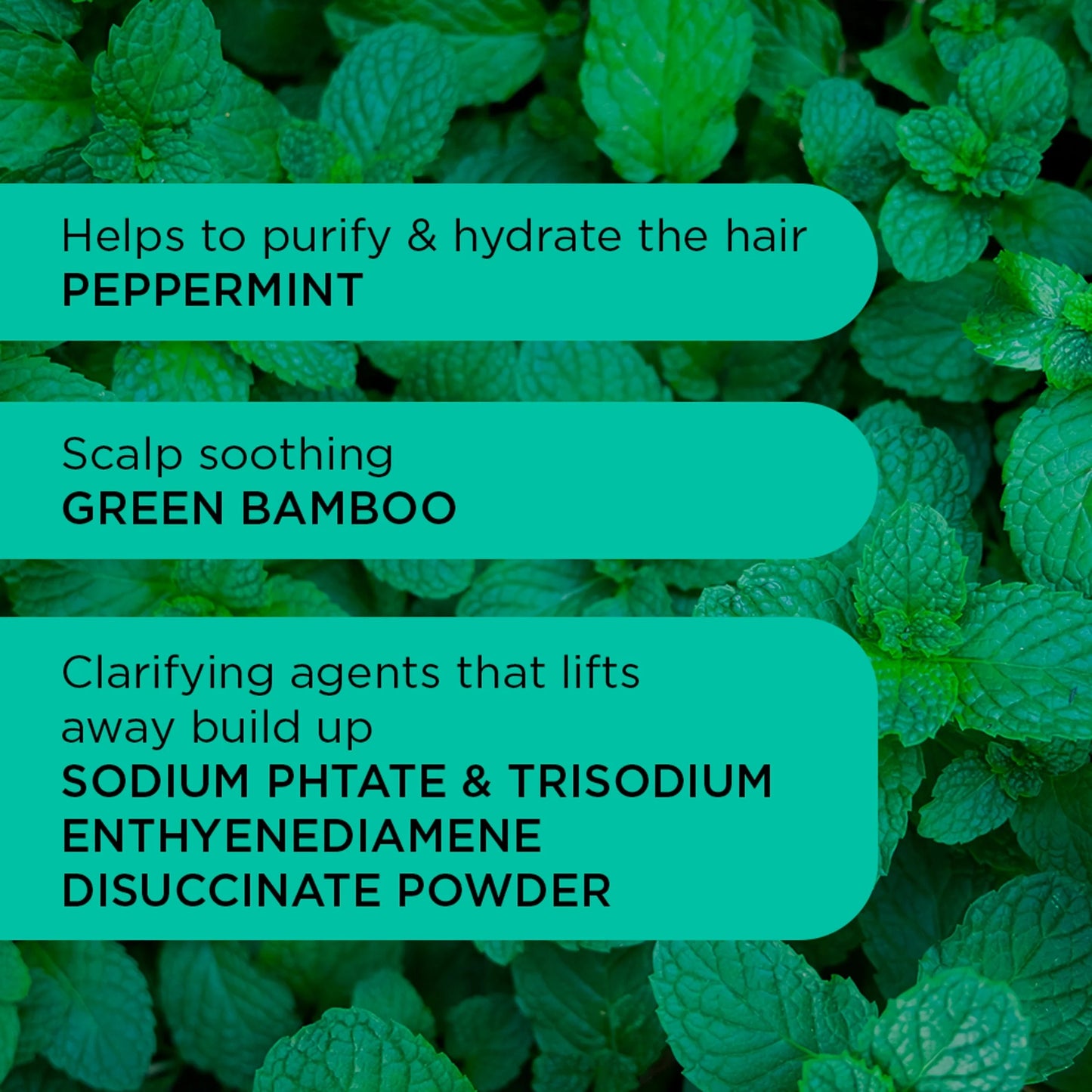 Detox Dynamo Clarifying Shampoo 250ml by Noughty