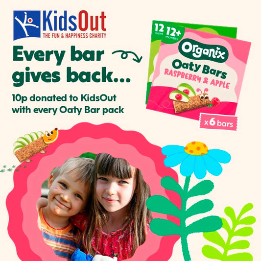 Raspberry & Apple Soft Oaty Bars 6x23g by ORGANIX