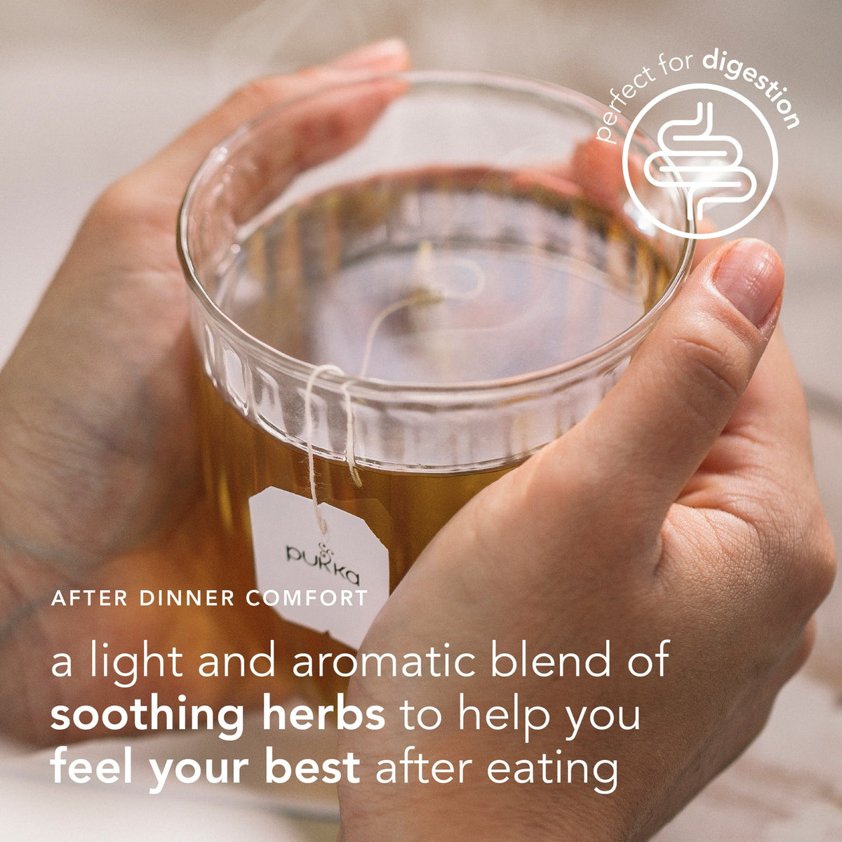 Pukka Organic After Dinner Tea With Fennel For Digestion 20 Herbal by