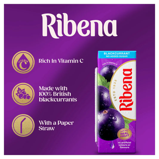 Blackcurrant Juice Drink Cartons No by RIBENA