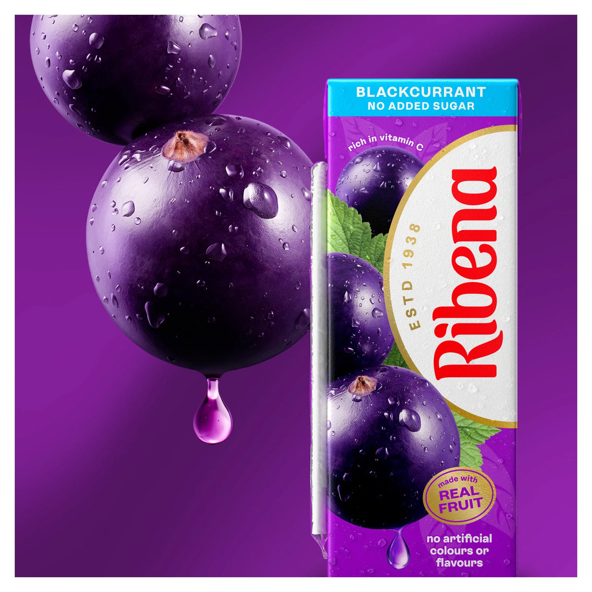 Blackcurrant No Added Sugar Juice by RIBENA at The British Vault