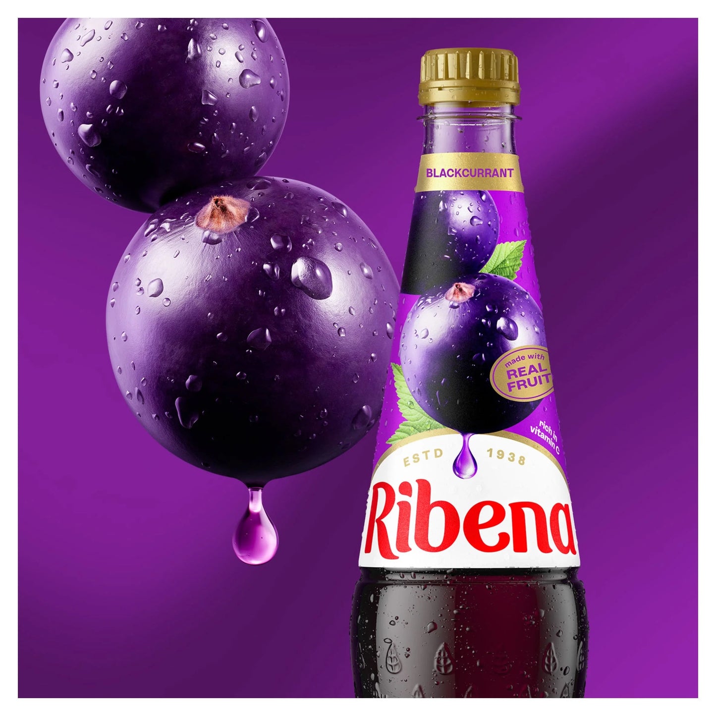 Blackcurrant Squash 1.5l by RIBENA