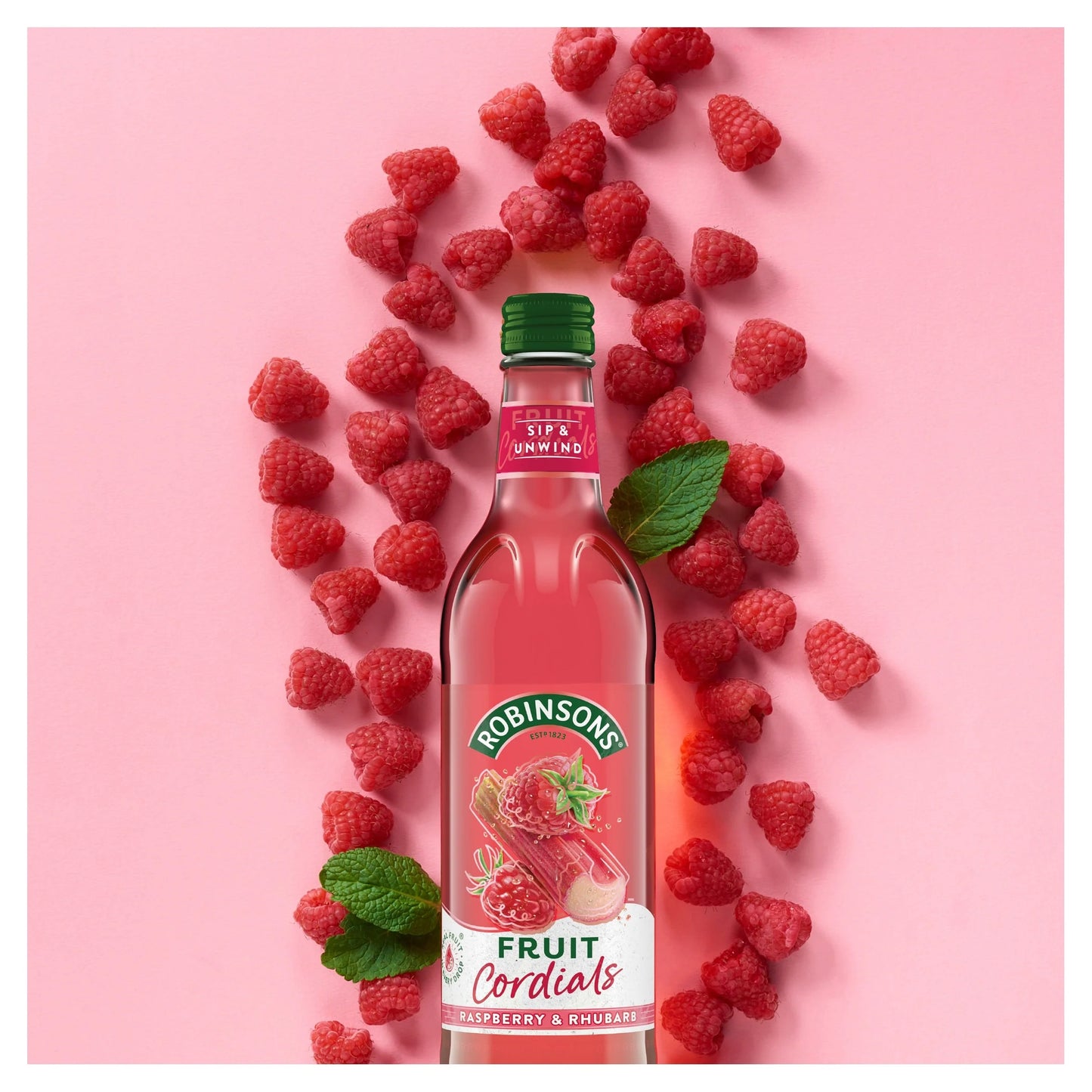 Raspberry, Rhubarb & Orange Blossom Fruit Cordial 500ml by ROBINSONS