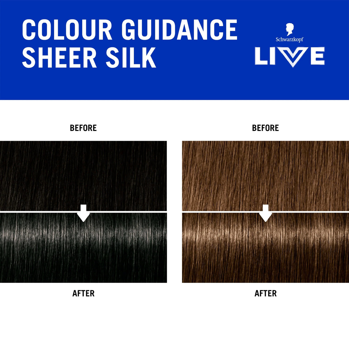 Live Go Gloss Sheer Silk Colour & by SCHWARZKOPF