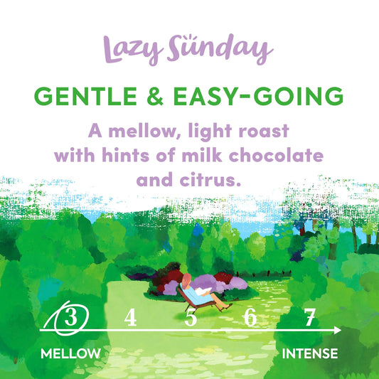 Taylors Lazy Sunday Roast Ground Coffee 200g by TAYLORS OF HARROGATE