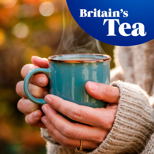 80 Tea Bags 250g by TETLEY