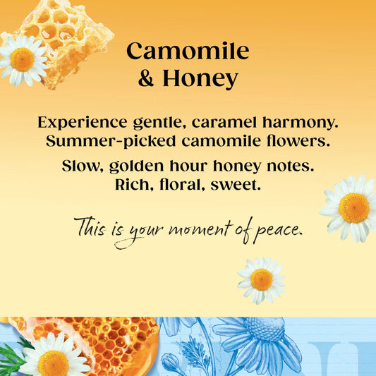 Camomile & Honey Tea Bags 20 Pack 30g by TWININGS