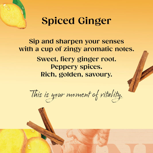 Spiced Ginger Tea Bags 20 Pack 35g by TWININGS