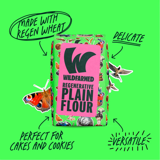 Plain Flour 1kg by WILDFARMED