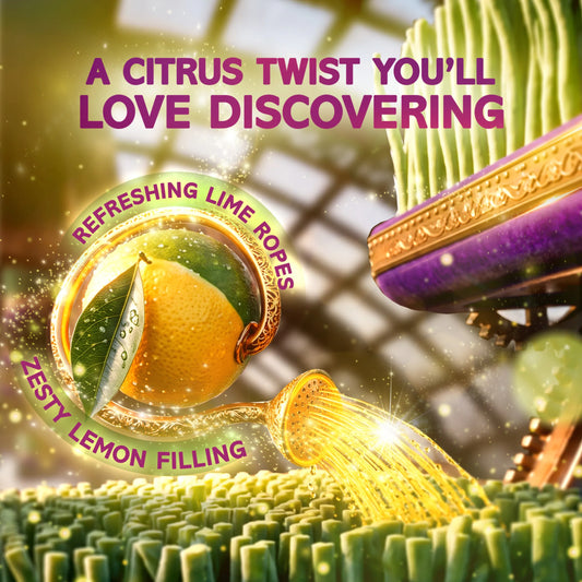 Magic Garden Lemon And Lime Flavour 100g by WONKA at The British Vault