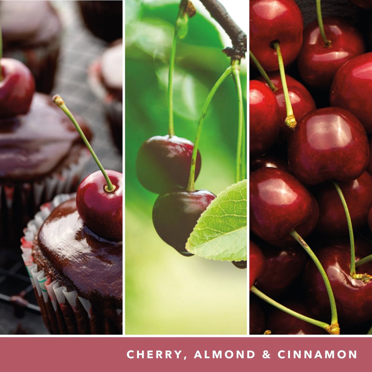 Signature Black Cherry Medium by YANKee CANDLe