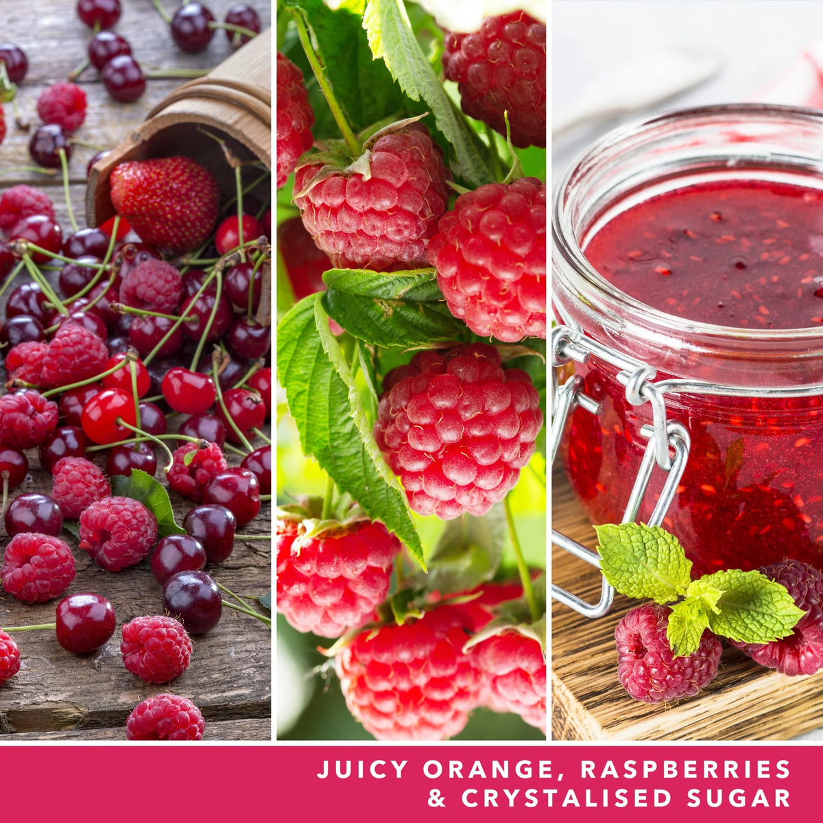 Signature Medium Jar Red Raspberry 368g by YANKee CANDLe