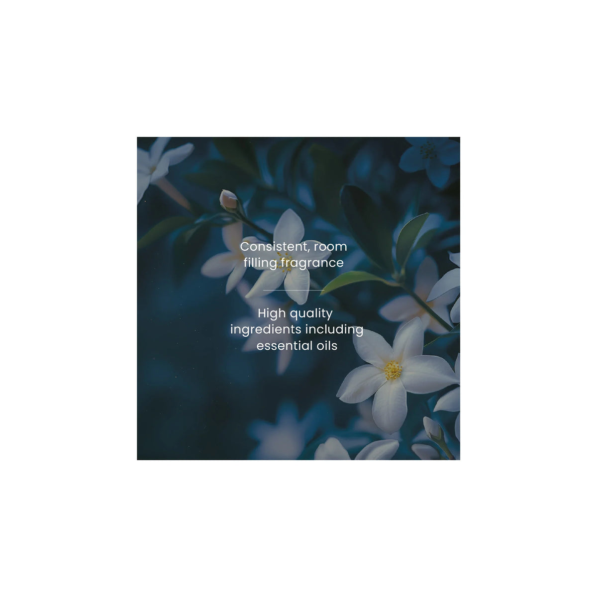 Signature Midsummer Night Small by YANKee CANDLe at The British Vault