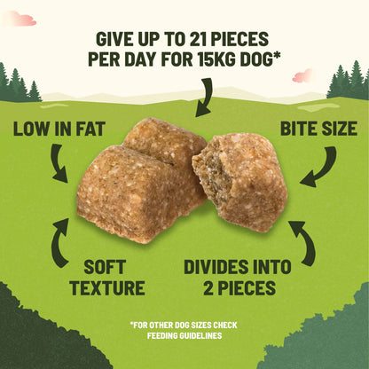 Training Dog Treats Rich In Salmon by ADVENTUROS at The British Vault