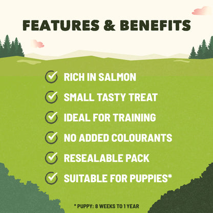 Training Dog Treats Rich In Salmon by ADVENTUROS at The British Vault