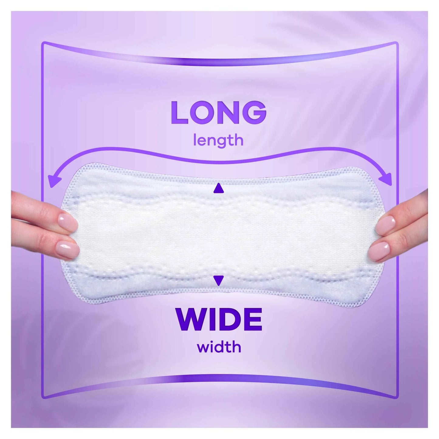 Dailies Large Panty Liners 58 Pack by always