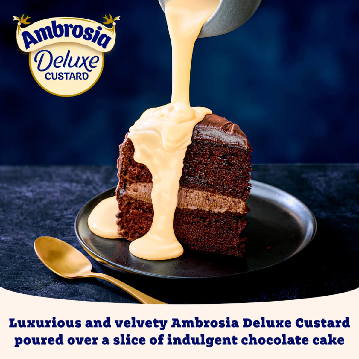 Deluxe Custard 400g by Ambrosia
