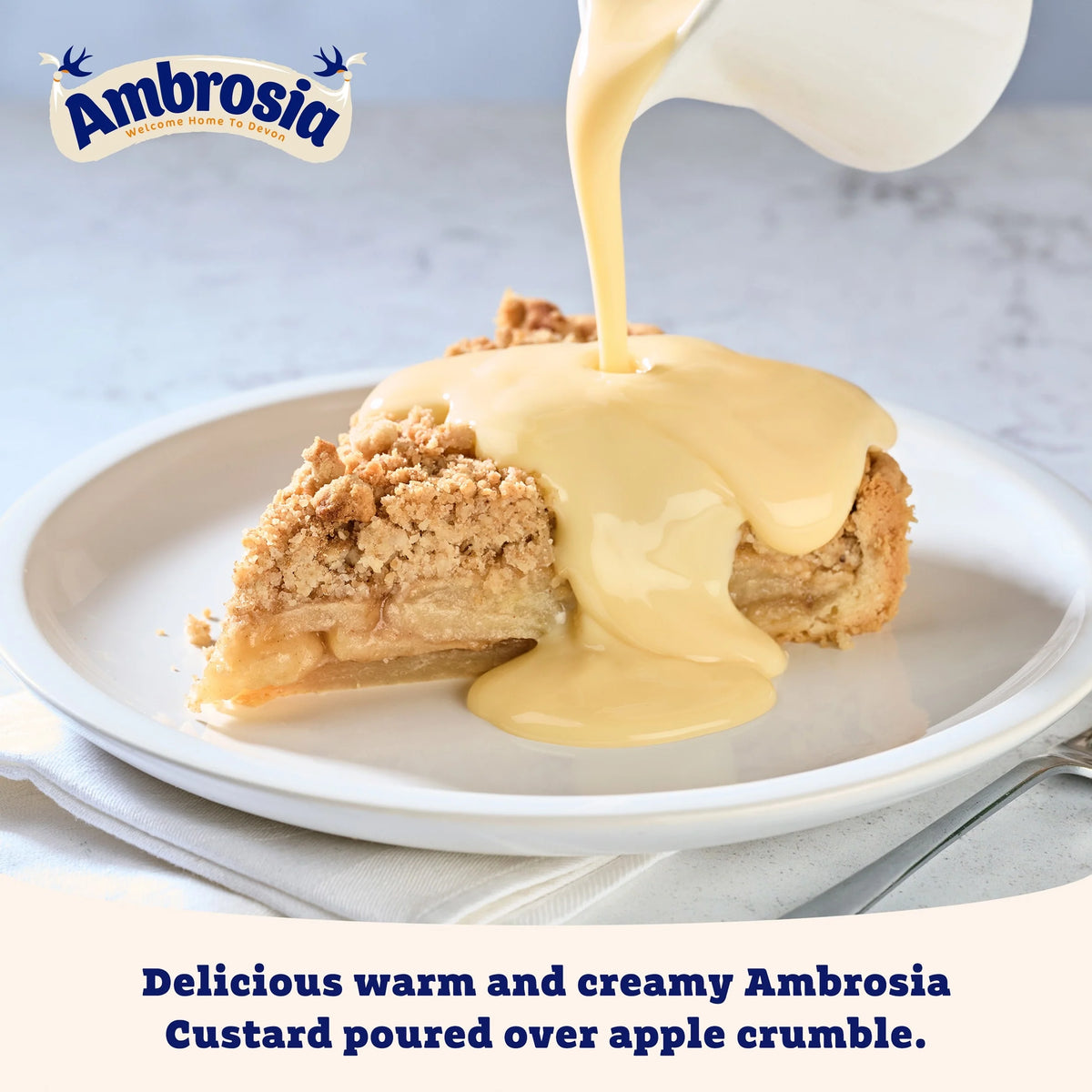 Devon Custard 500g by Ambrosia