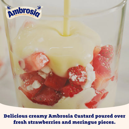 Devon Custard 500g by Ambrosia