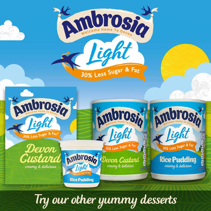 Low Fat Rice Pudding 400g by Ambrosia
