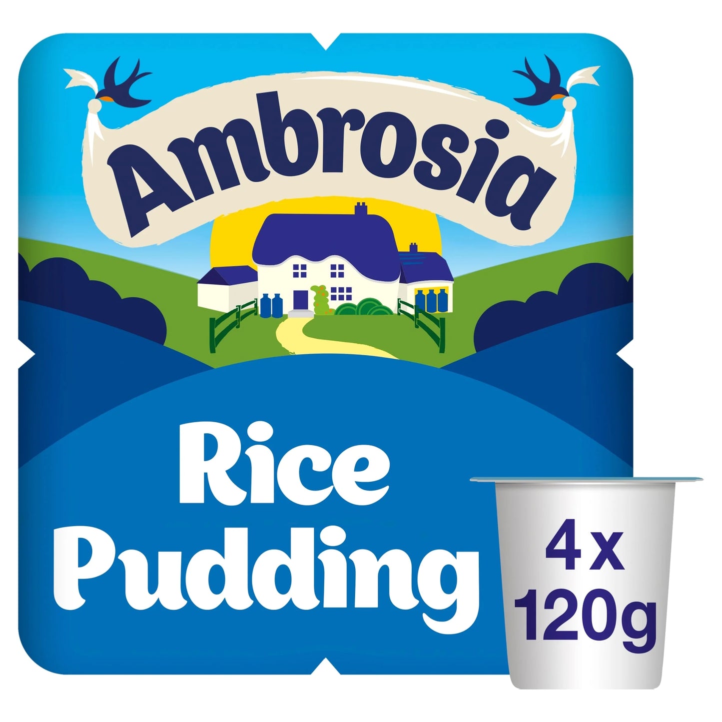 Ready To Eat Creamed Rice Pudding 4 by Ambrosia