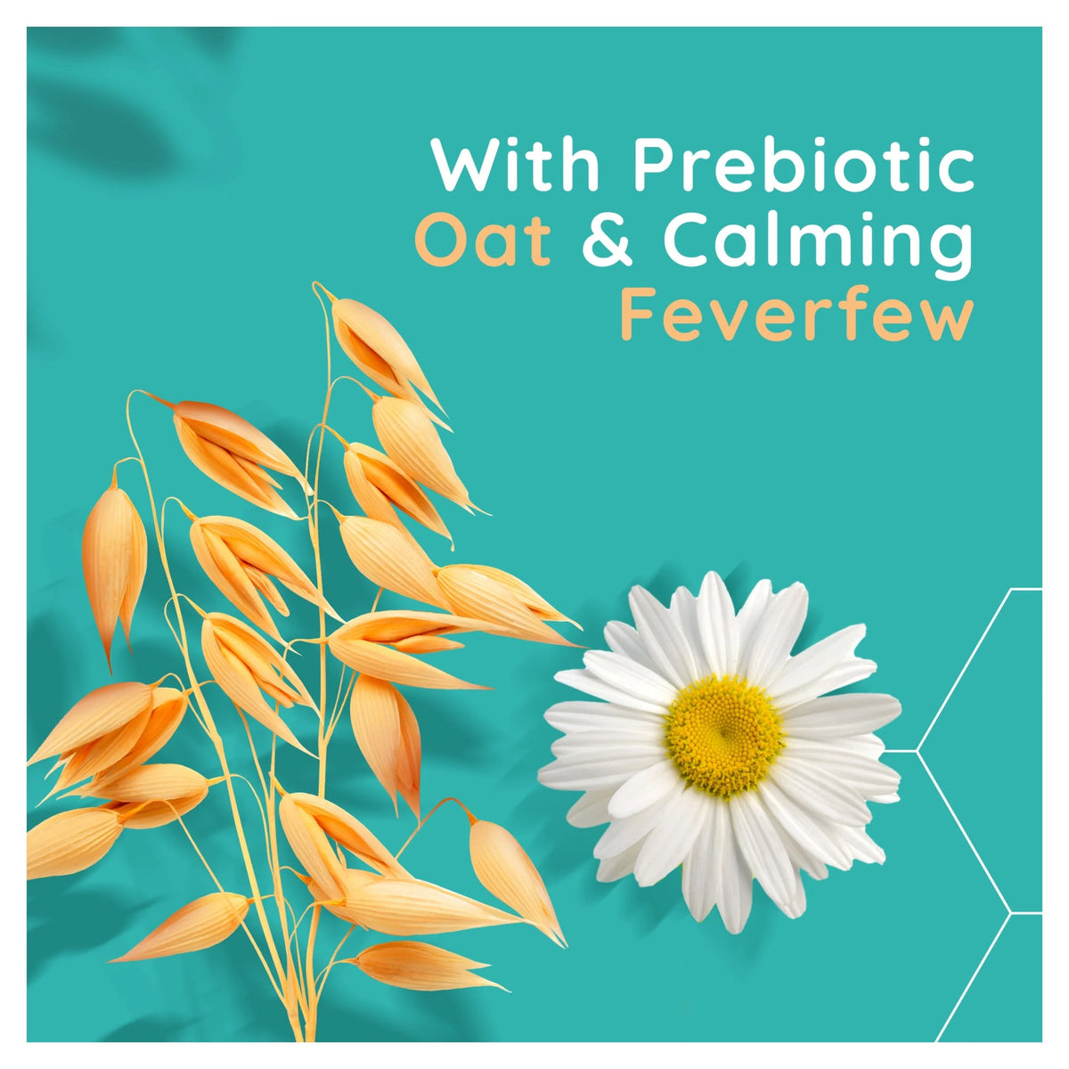 Face Calm & Restore Oat Serum Face by Aveeno