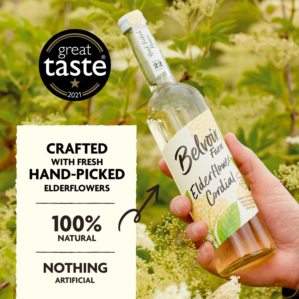 Elderflower Cordial 500ml by BELVOIR