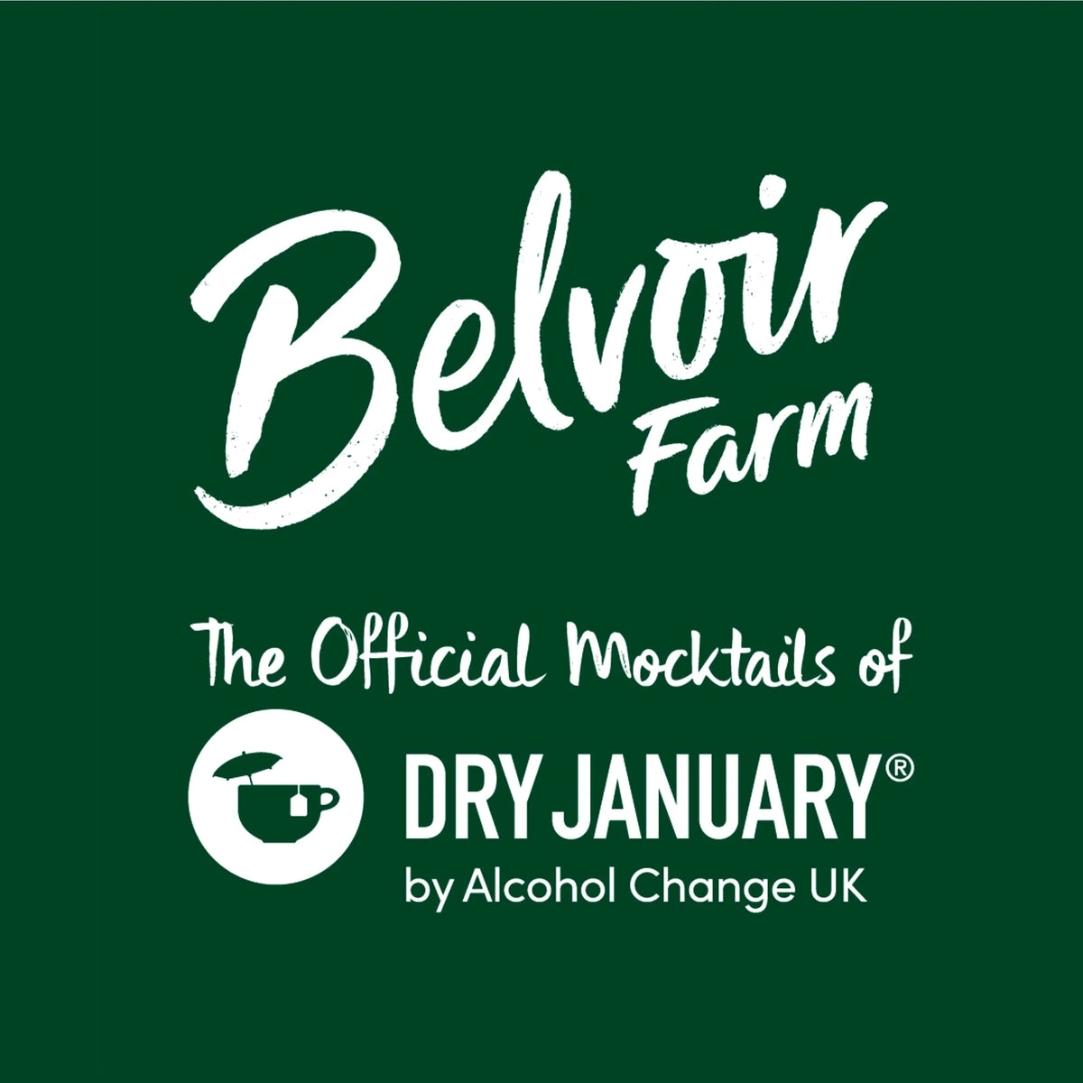 Lime & Yuzu Mojito Mocktail 250ml by BELVOIR FARM