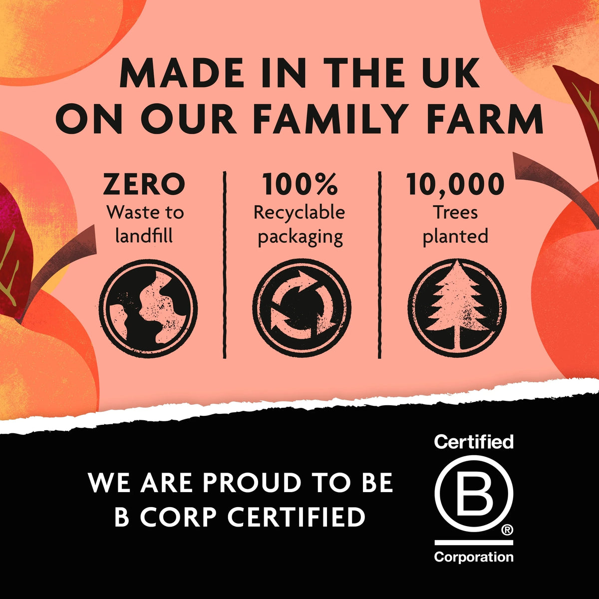 Non-alcoholic Peach Bellini 250ml by BELVOIR FARM