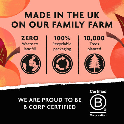 Non-alcoholic Peach Bellini 250ml by BELVOIR FARM