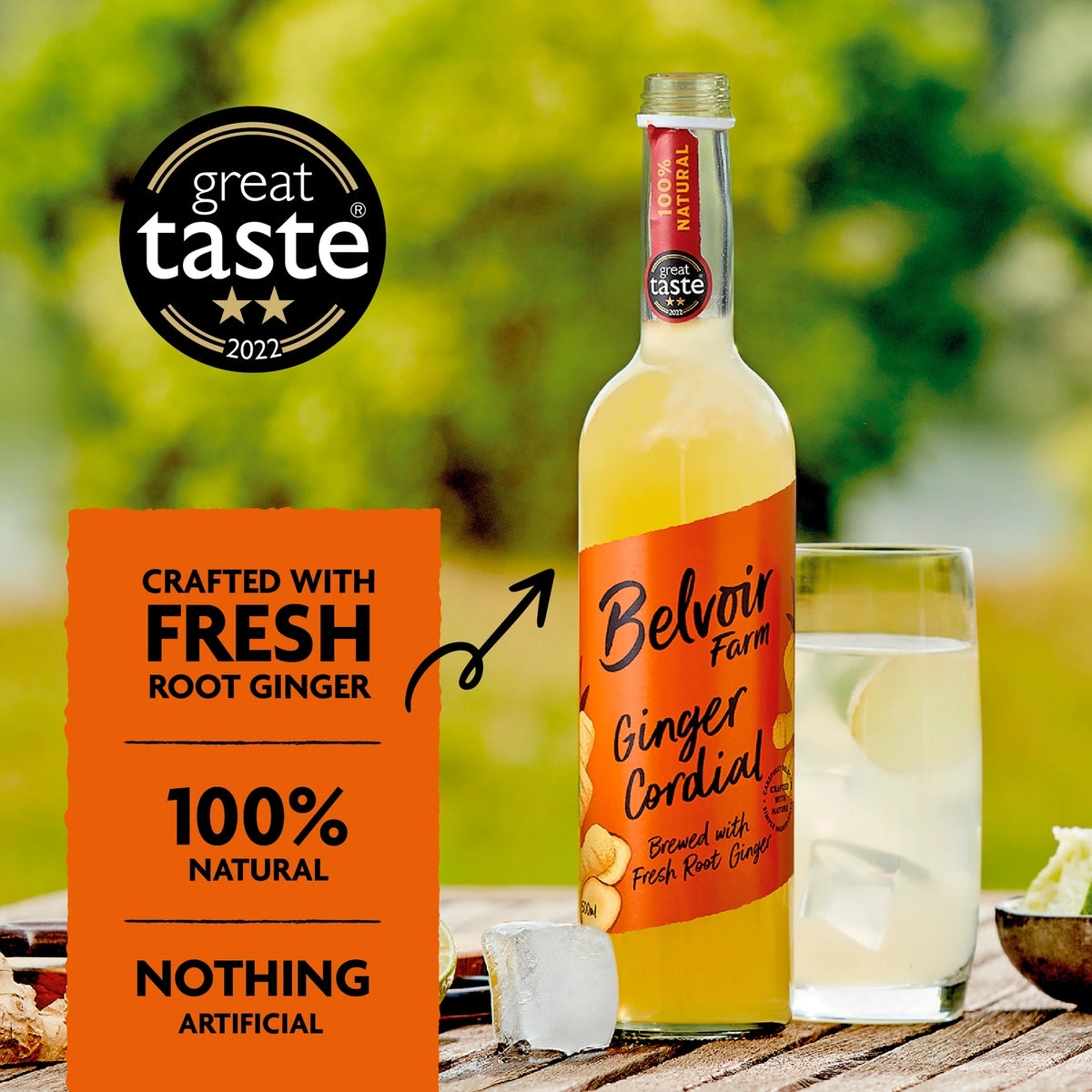 Ginger Cordial 500ml by BELVOIR