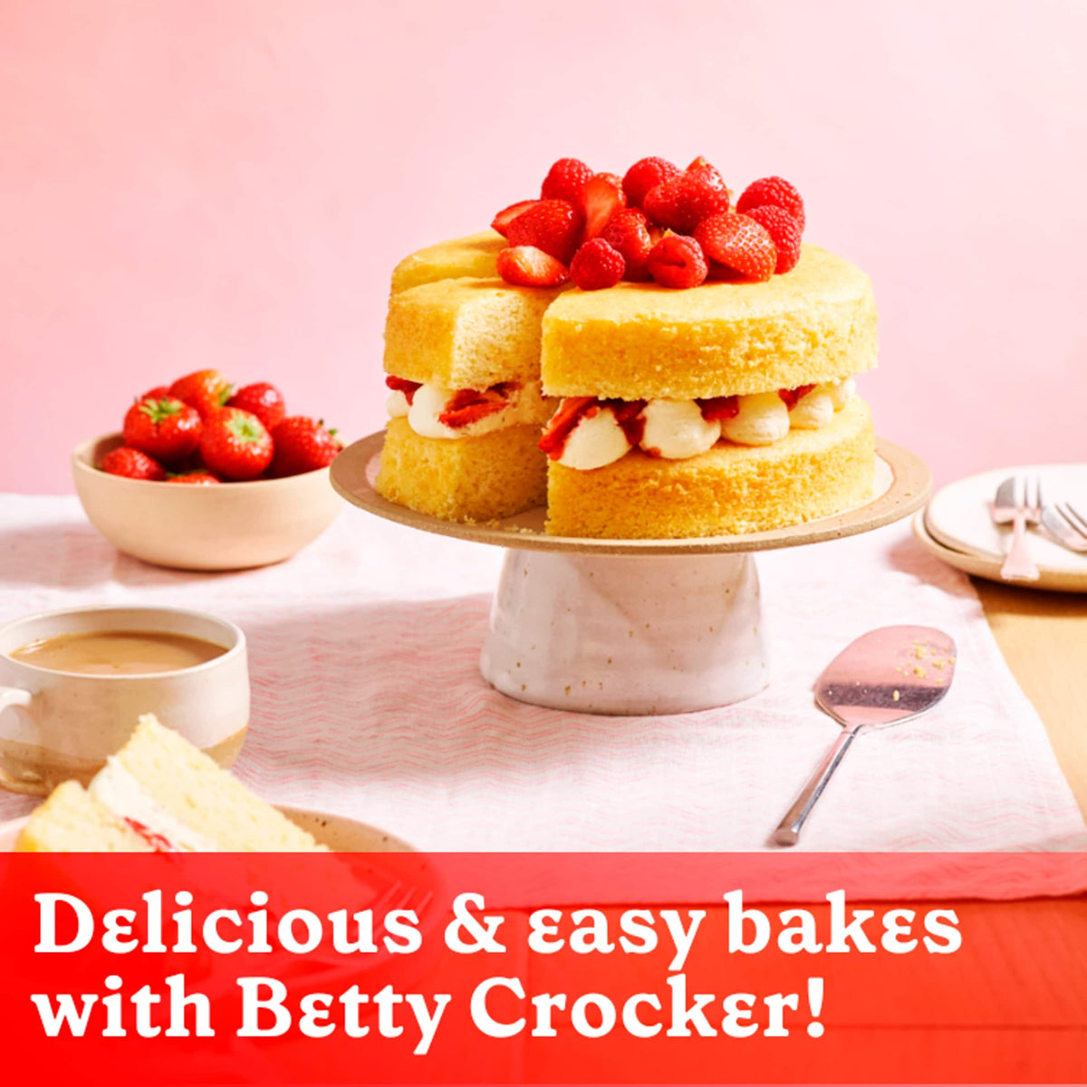 Vanilla Buttercream Style Icing by Betty Crocker