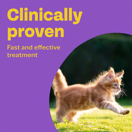 Spot On Cat Dewormer 2 Tubes by BOB MARTIN
