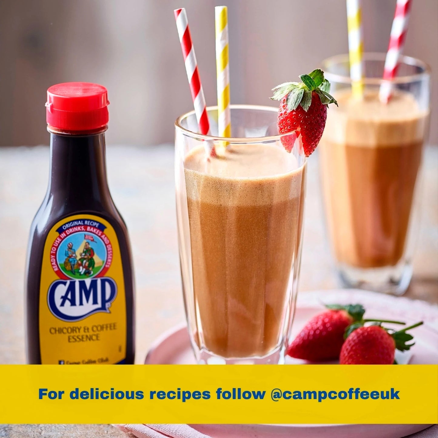 Chicory & Coffee Essence 241ml by CAMP