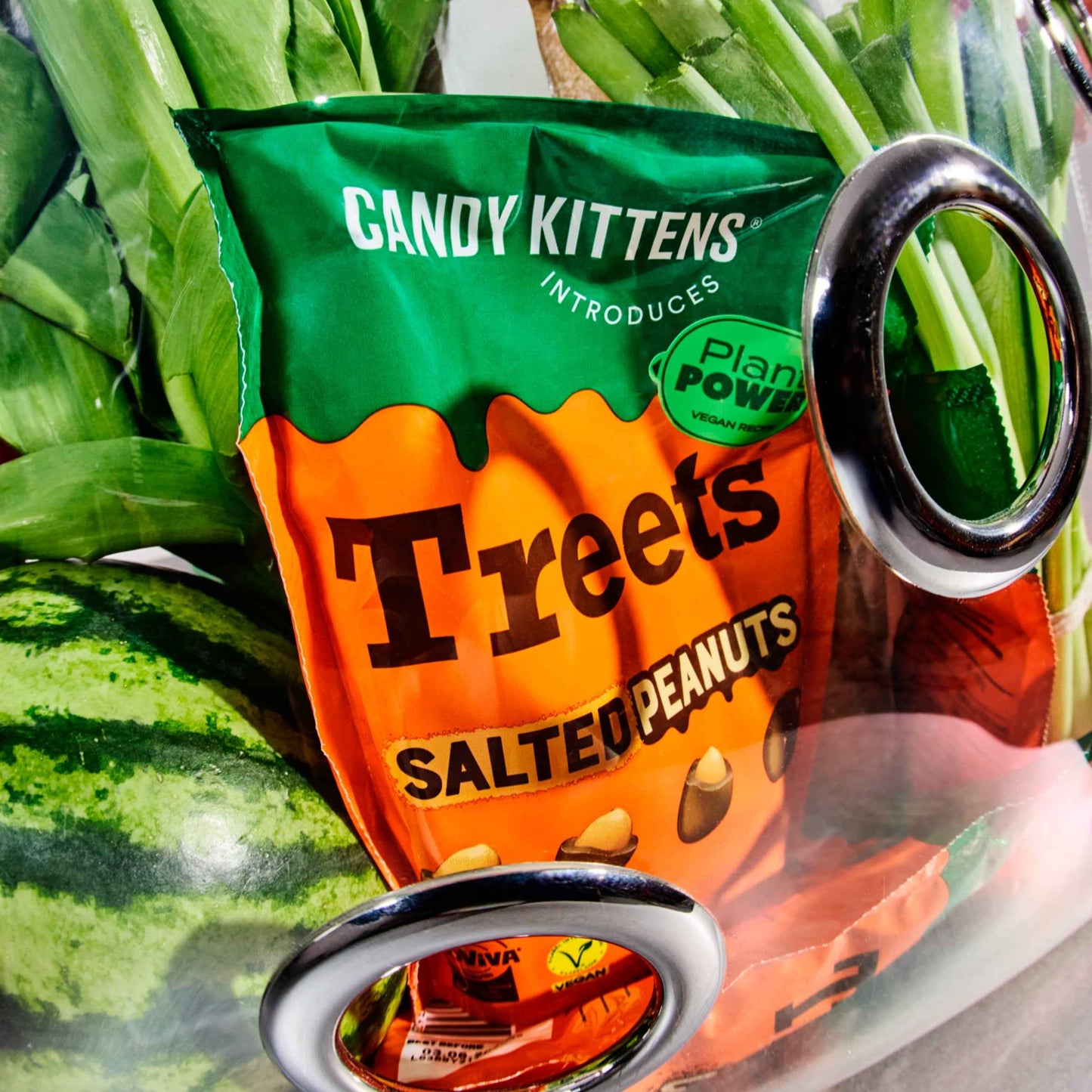 Treets Salted Peanuts 120g by CANDY KITTENS