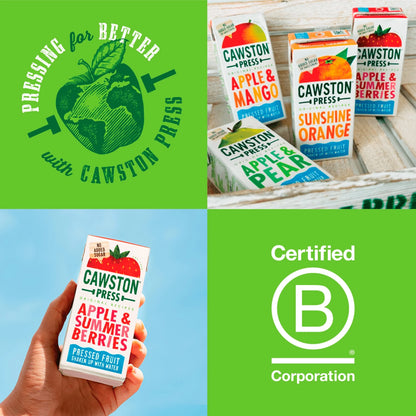 Apple & Summer Berries 3 X 200ml by CAWSTON PRESS