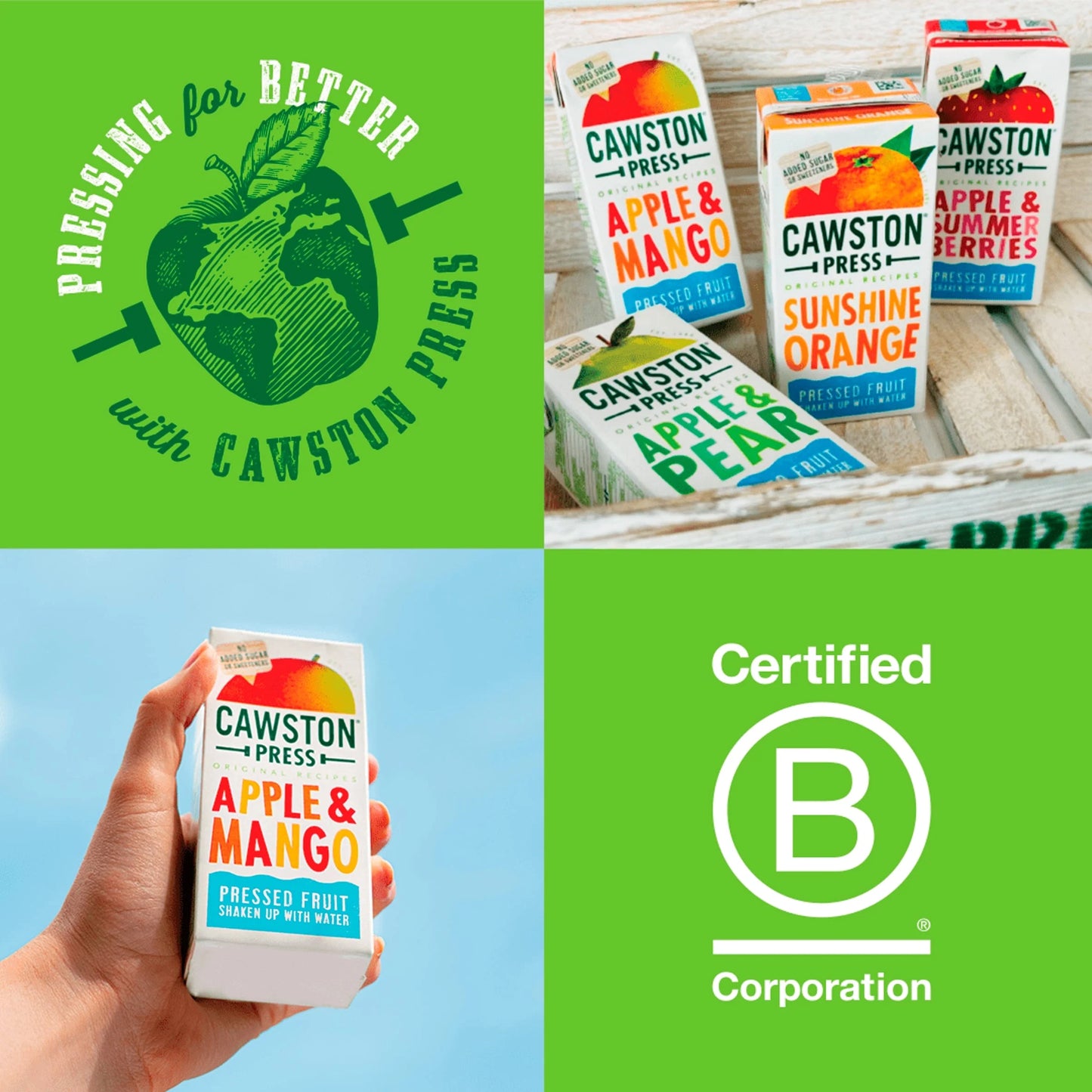 Kids Apple & Mango 3x200ml by CAWSTON PRESS