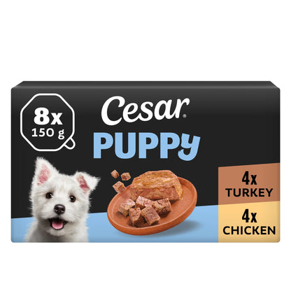Puppy Wet Dog Food Trays 8 X 150g by Cesar at The British Vault