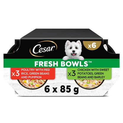 Wet Dog Food Fresh Bowls In Gravy 6 X by Cesar at The British Vault